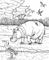 A coloring page of nature in africa